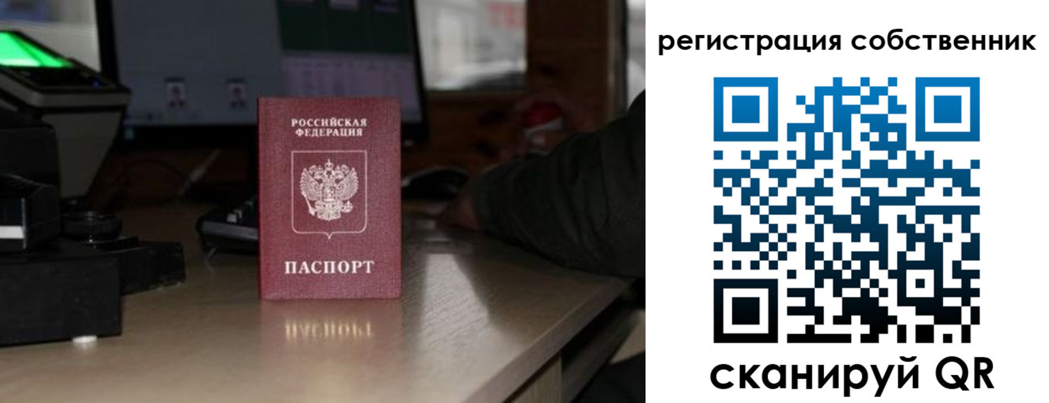 прописка поиск в Камешково